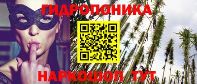 трава Северобайкальск