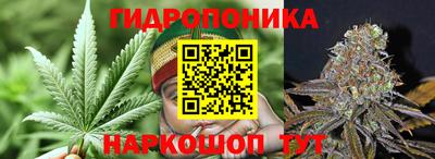трава Северобайкальск